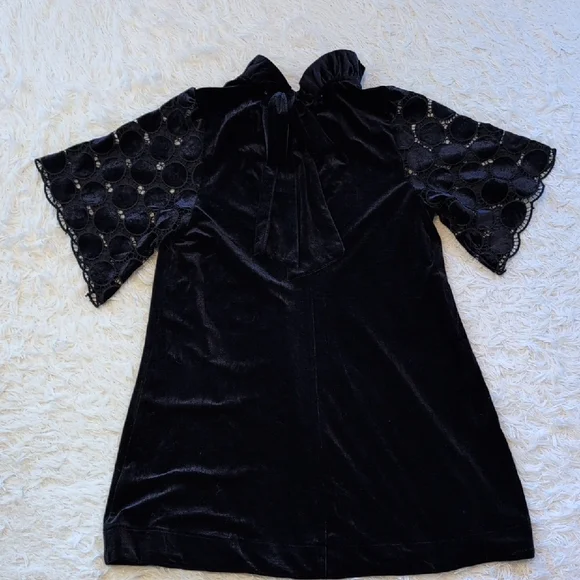 Elegant Navy Blue Velvet Dress with Lace Sleeves - Picture 3 of 6